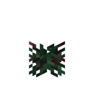 Borukva Food Blackcurrant Bush Age 0.png