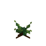 Borukva Food Cabbage Crop Age 0.png: Infobox image for Cabbage Seeds the item in Minecraft