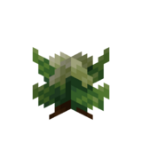 Borukva Food Cabbage Crop Age 2.png: Infobox image for Cabbage Seeds the item in Minecraft